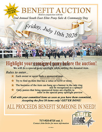 Benefit Auction - for owners