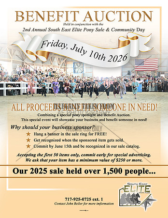 Benefit Auction - sponsorship