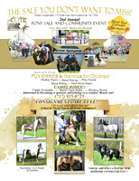 Full page ad_5-19-26