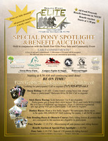 Page 3 - benefit auction