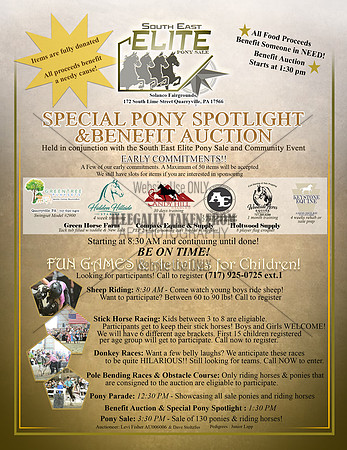 Page 3 - benefit auction