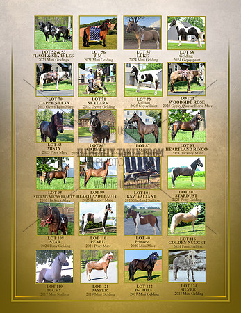 Page 2-ponies
