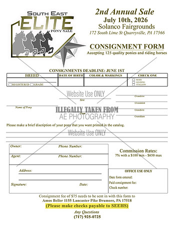 Consignment form