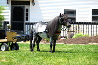 Lot 14
