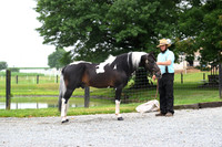 AJB_8702