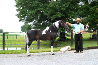 AJB_8703