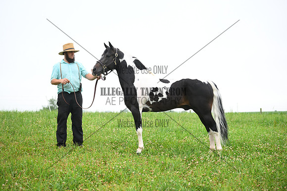 AJB_8708