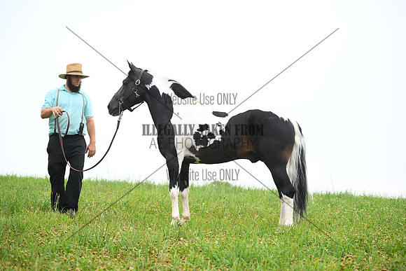 AJB_8714