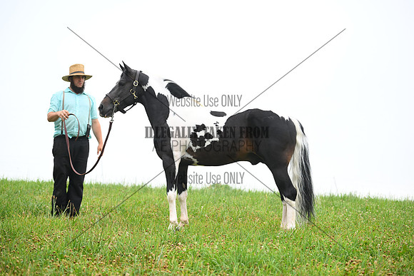 AJB_8715