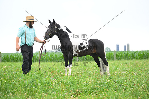 AJB_8724