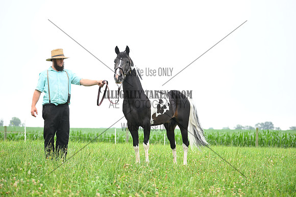 AJB_8732