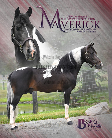 Maverick-8.5x11-3-8