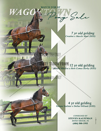 Full page ad