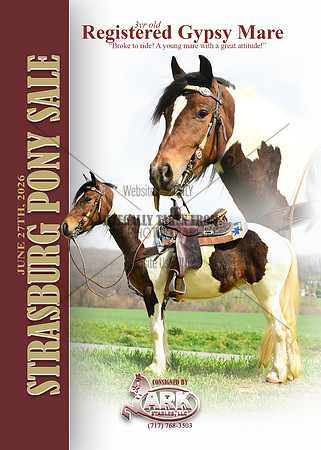 Gypsy mare-postcard