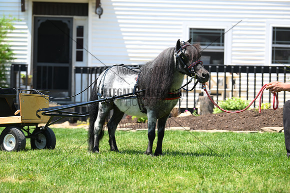 Lot 14