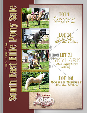 Southeastelite Pony sale