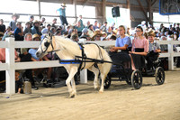 AJB_1029