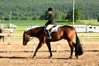 AJB_9966