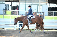 AJB_8872