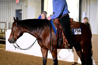AJB_0538