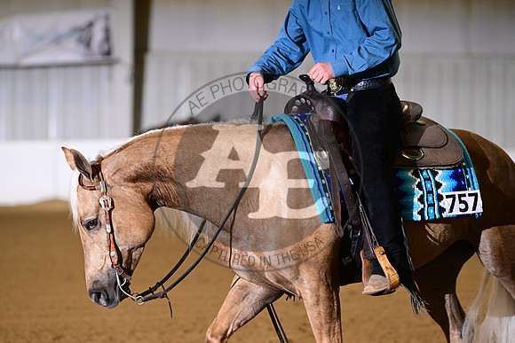 AJB_0235