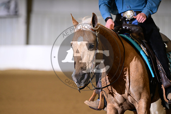 AJB_0240