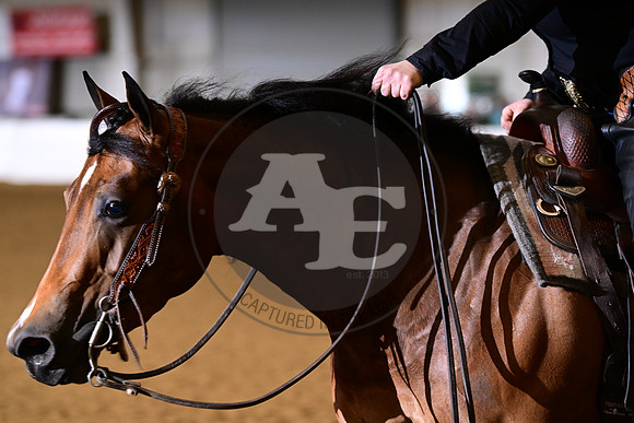 AJB_0449