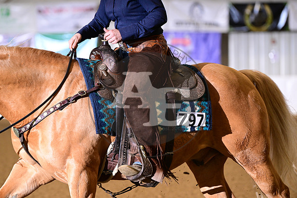 AJB_0461