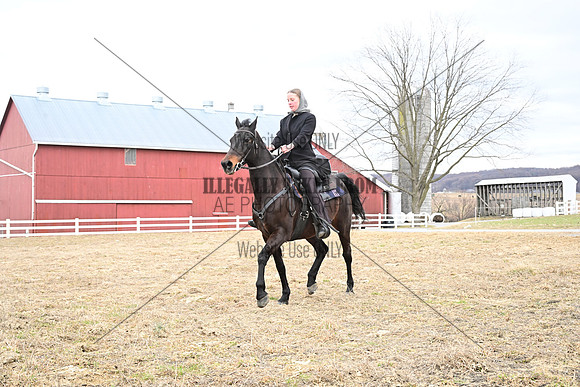 ASH_9785