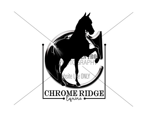 Chromeridgeequine-Logo2