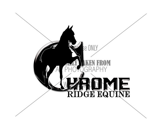 ChromeRidgeEquine