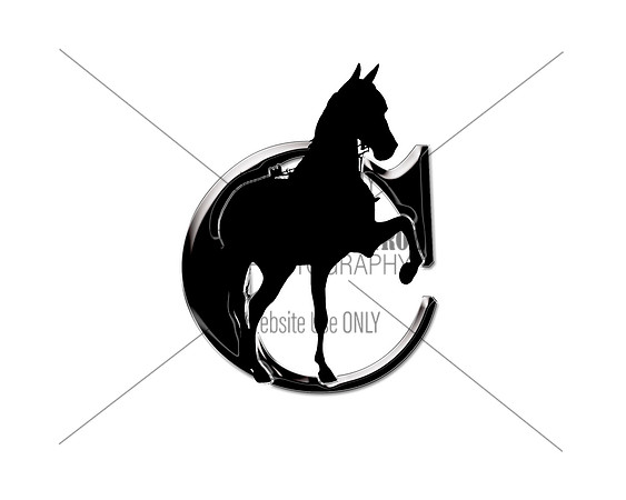 ChromeRidgeEquine_JustC