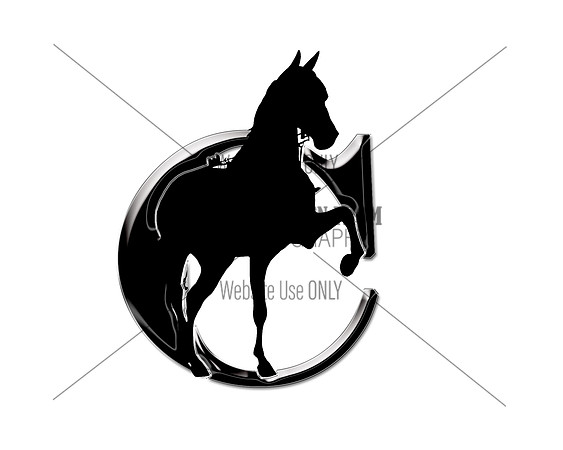 ChromeRidgeEquine_JustC