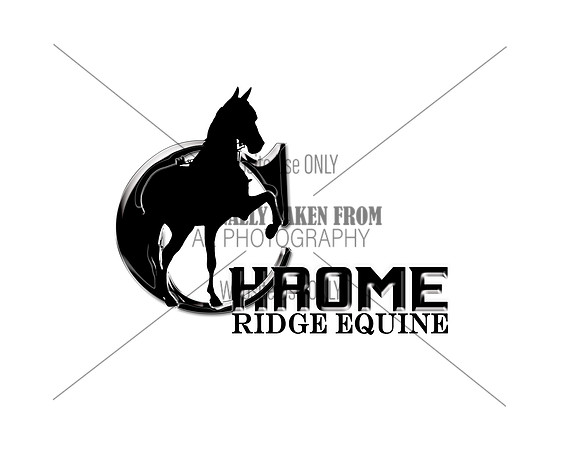 ChromeRidgeEquine
