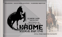 Chromeridge-businesscard-front