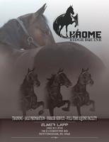 Chromequine-ad
