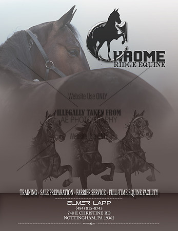 Chromequine-ad