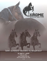 Chrome Ridge Equine, Elmer Lapp-photos