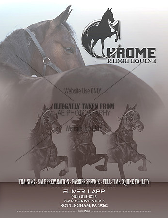 Chromequine-ad lighter