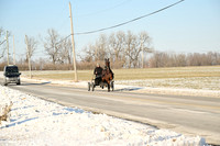 Lot 10