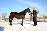 Lot 49