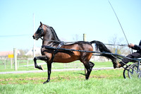 ASH_0055