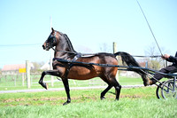 ASH_0056