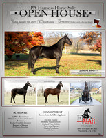 EL-mar Equine Ad2