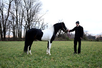 Horseshoe Haven Stables, Emanuel Stoltzfus-photos
