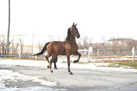 ASH_6738
