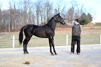Quality Stables, Samuel Zook-photos