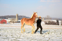 Sunny Acre Farm