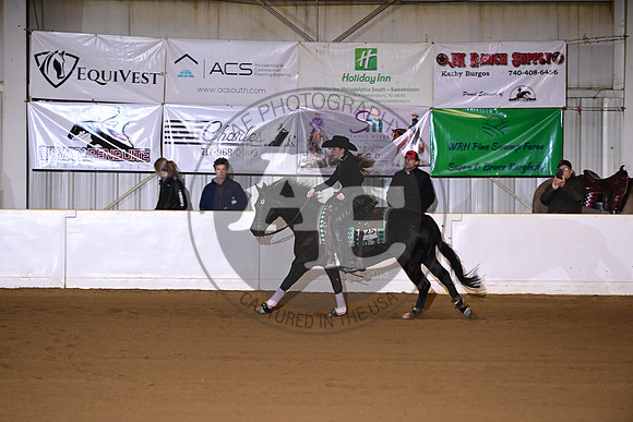 AJB_3981