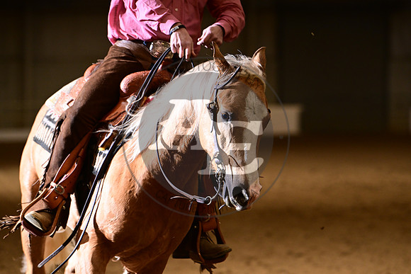 AJB_4028